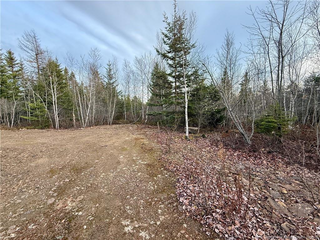 1192 Rte 935, Rockport, NB