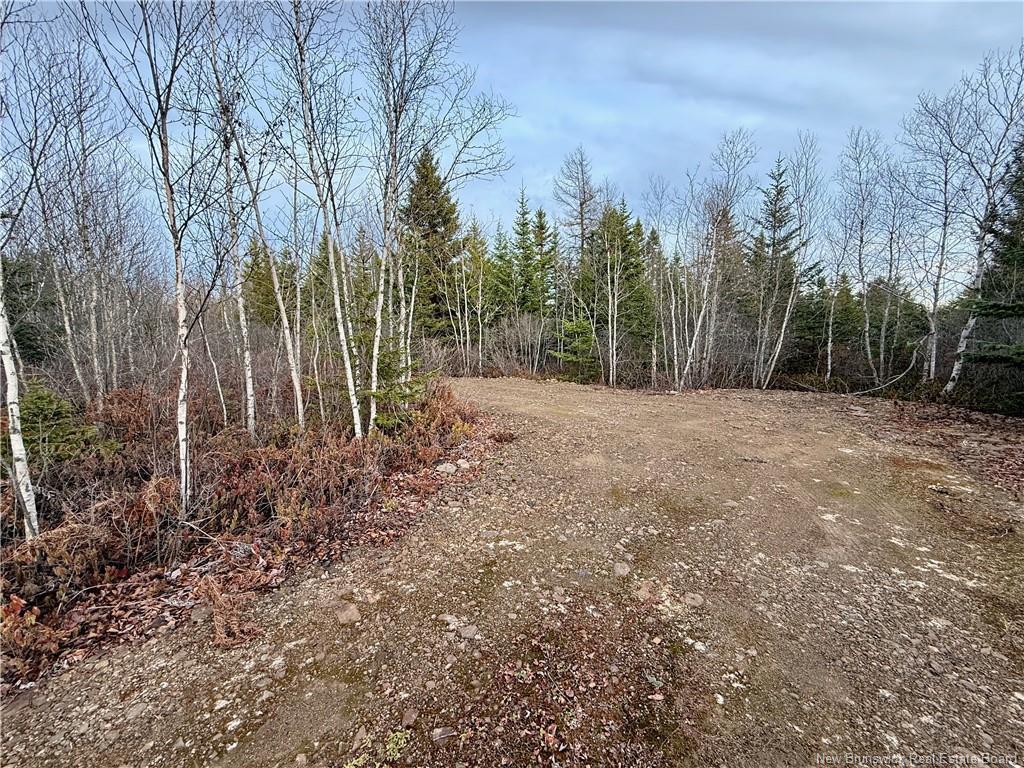 1192 Rte 935, Rockport, NB