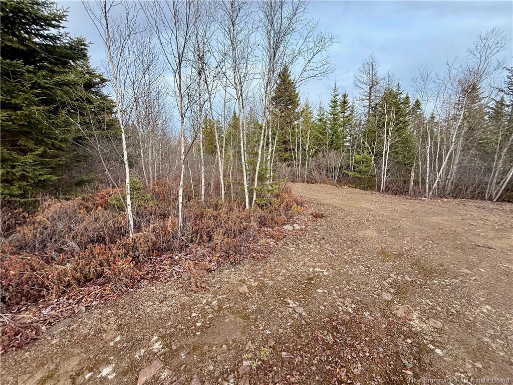 1192 Rte 935, Rockport, NB