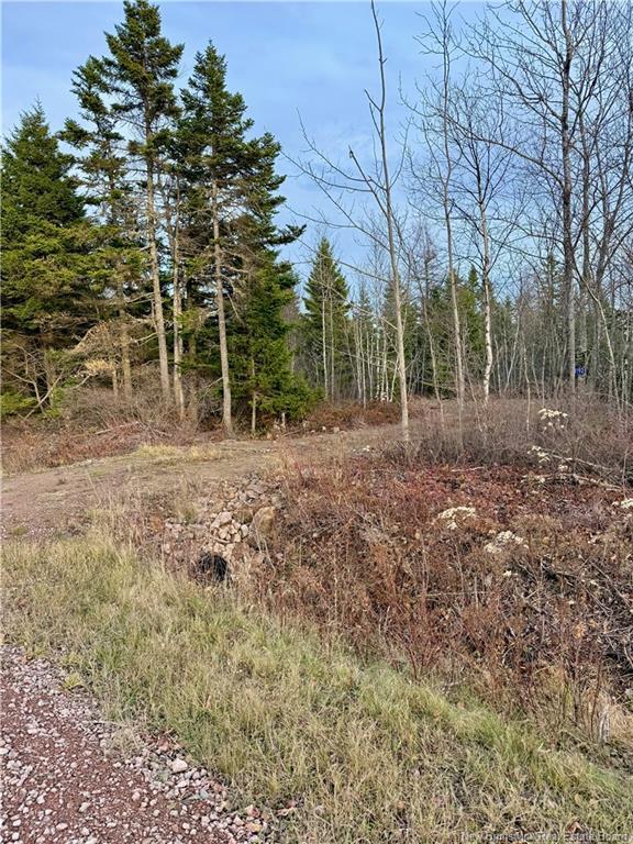 1192 Rte 935, Rockport, NB