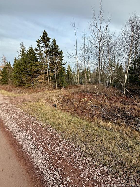 1192 Rte 935, Rockport, NB