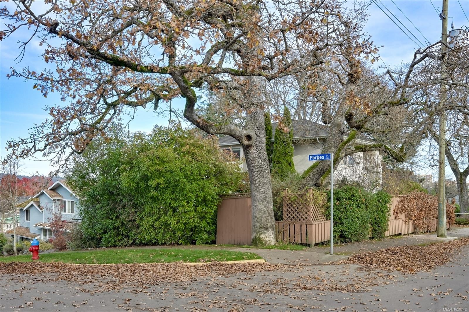 2211 Forbes St, Victoria, BC - Outdoor