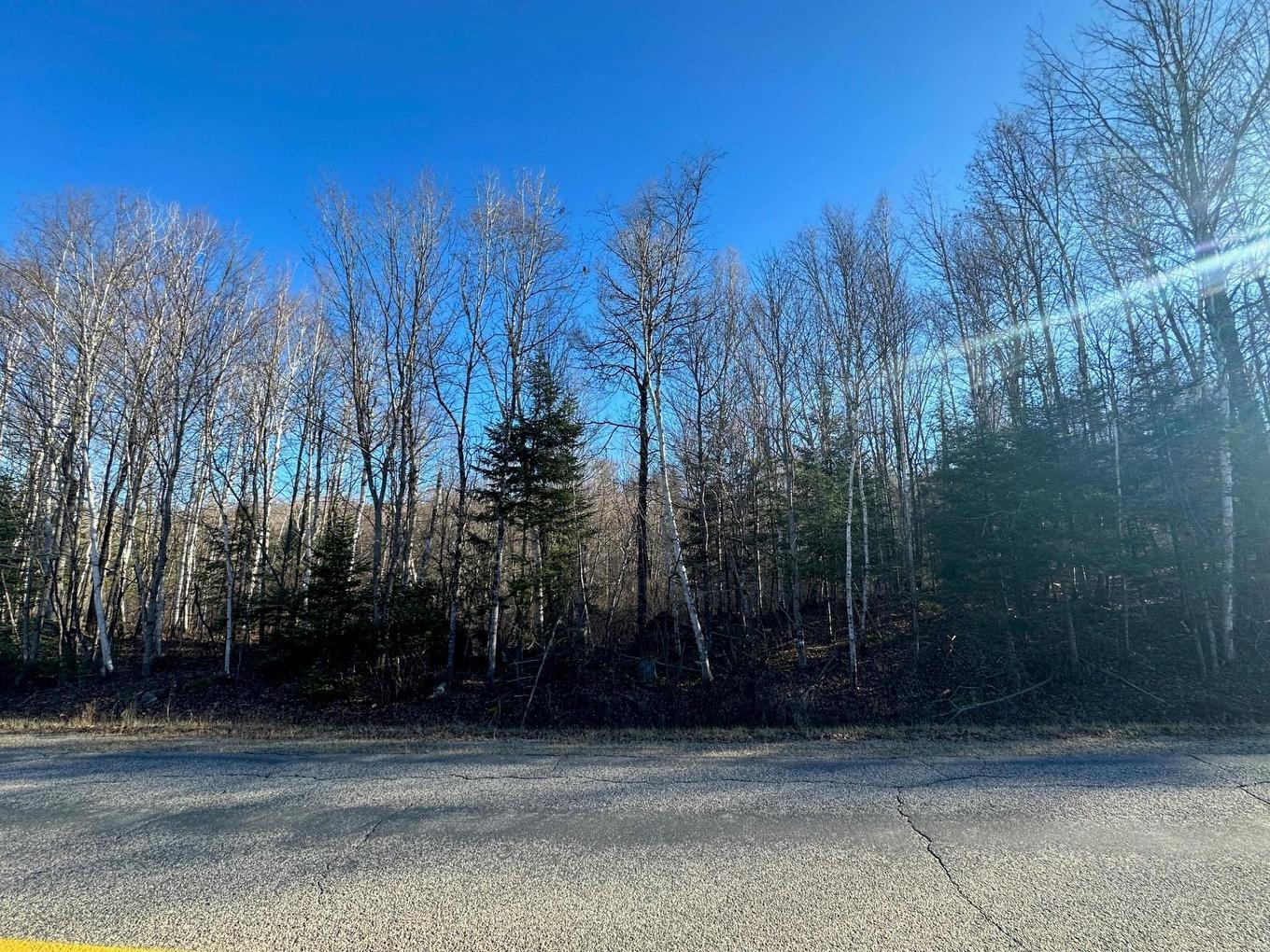 Land/Lot - Mtée Du Lac-Marsan, Rivière-Rouge, QC