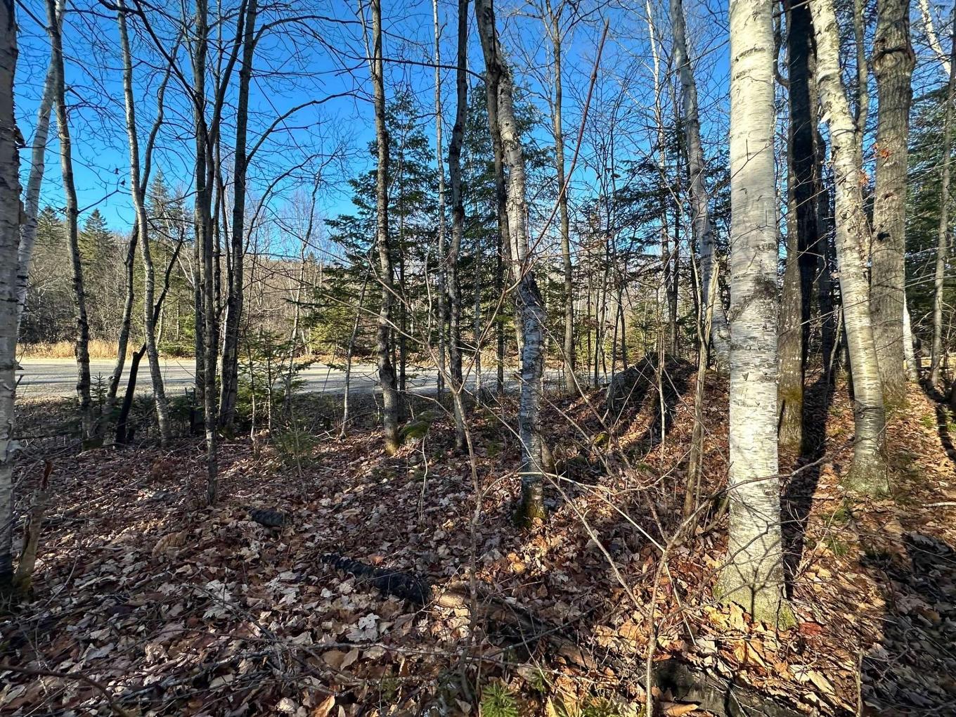 Land/Lot - Mtée Du Lac-Marsan, Rivière-Rouge, QC