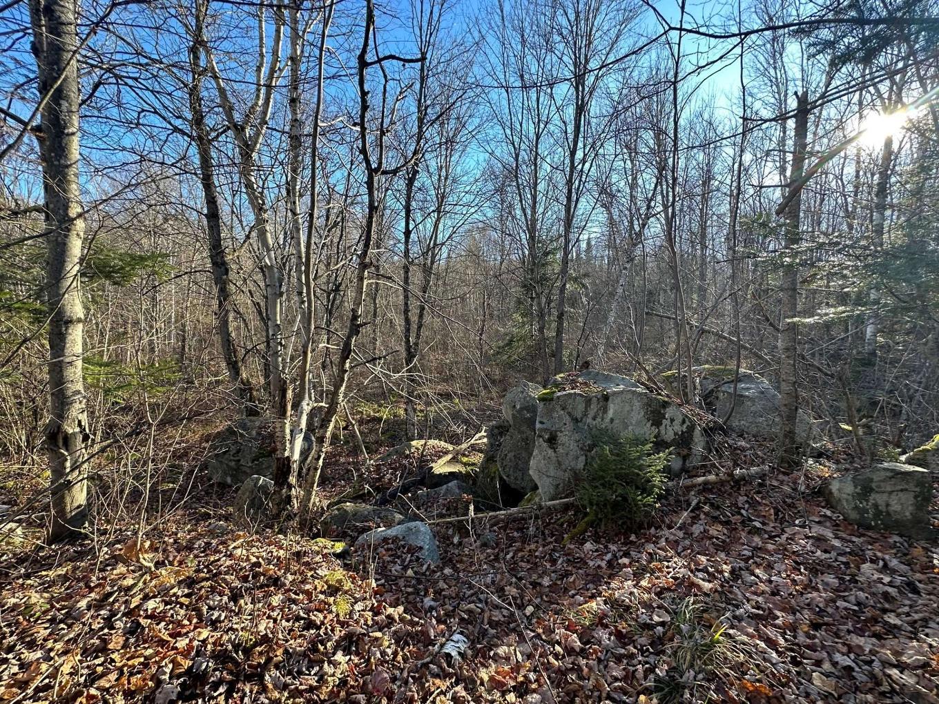 Land/Lot - Mtée Du Lac-Marsan, Rivière-Rouge, QC