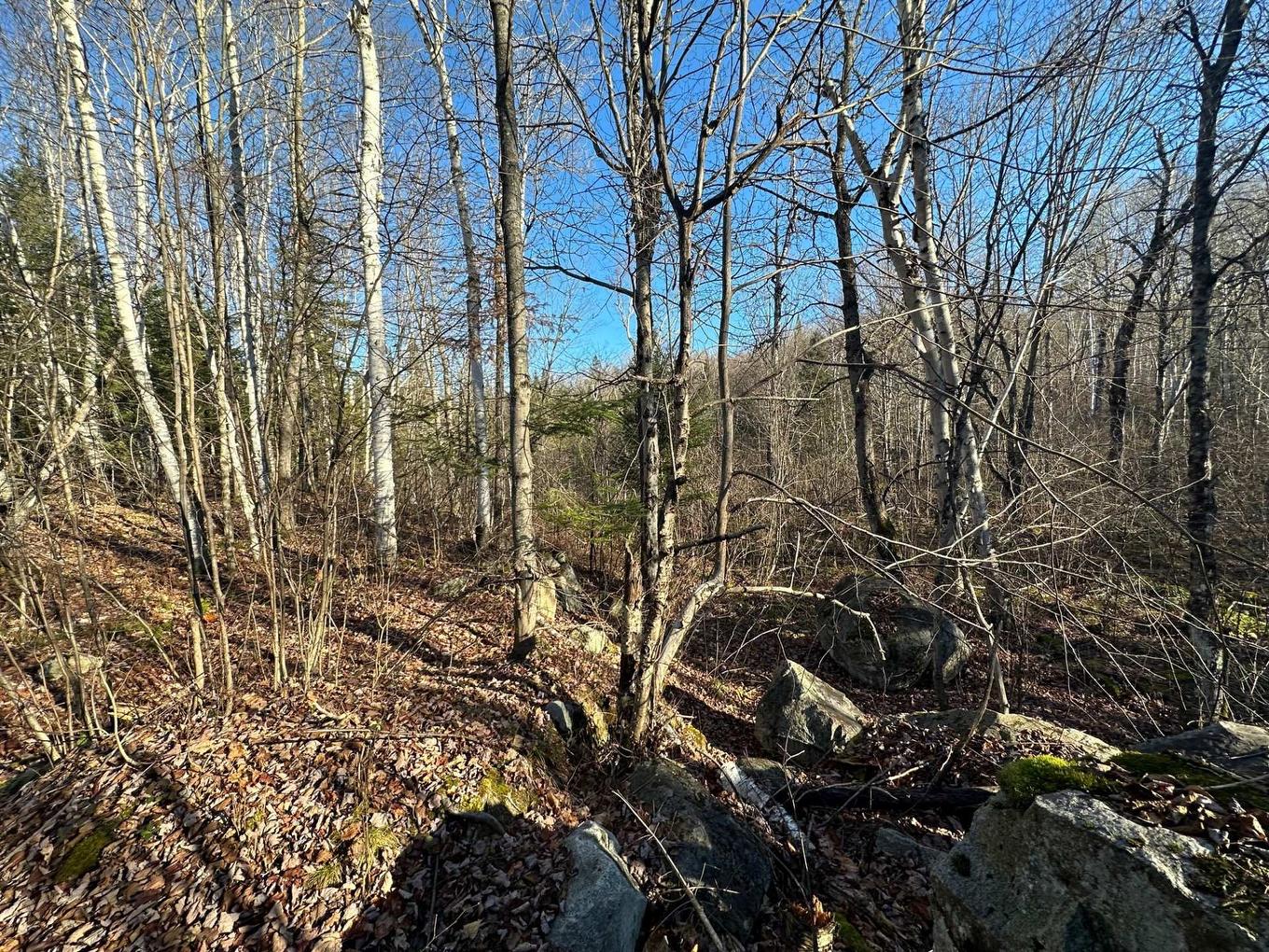 Land/Lot - Mtée Du Lac-Marsan, Rivière-Rouge, QC