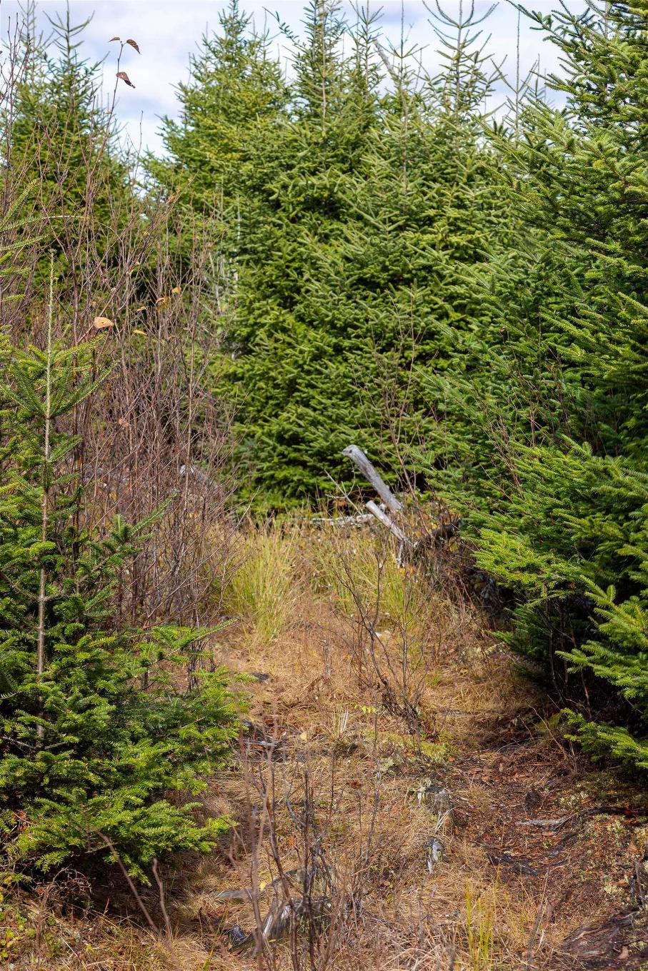 Acreage Sonora Road, Sherbrooke, NS