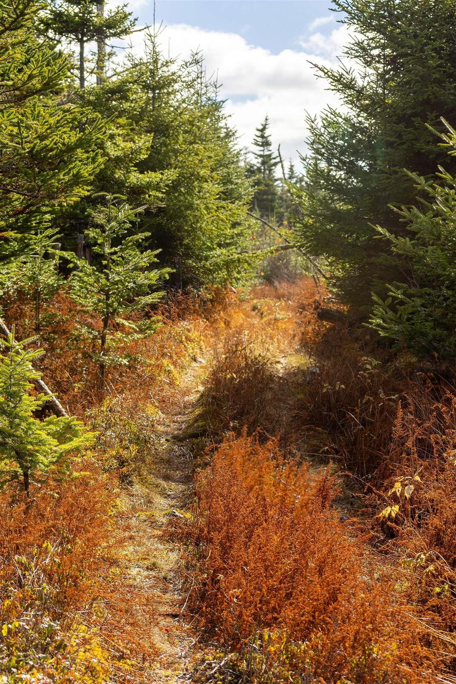 Acreage Sonora Road, Sherbrooke, NS