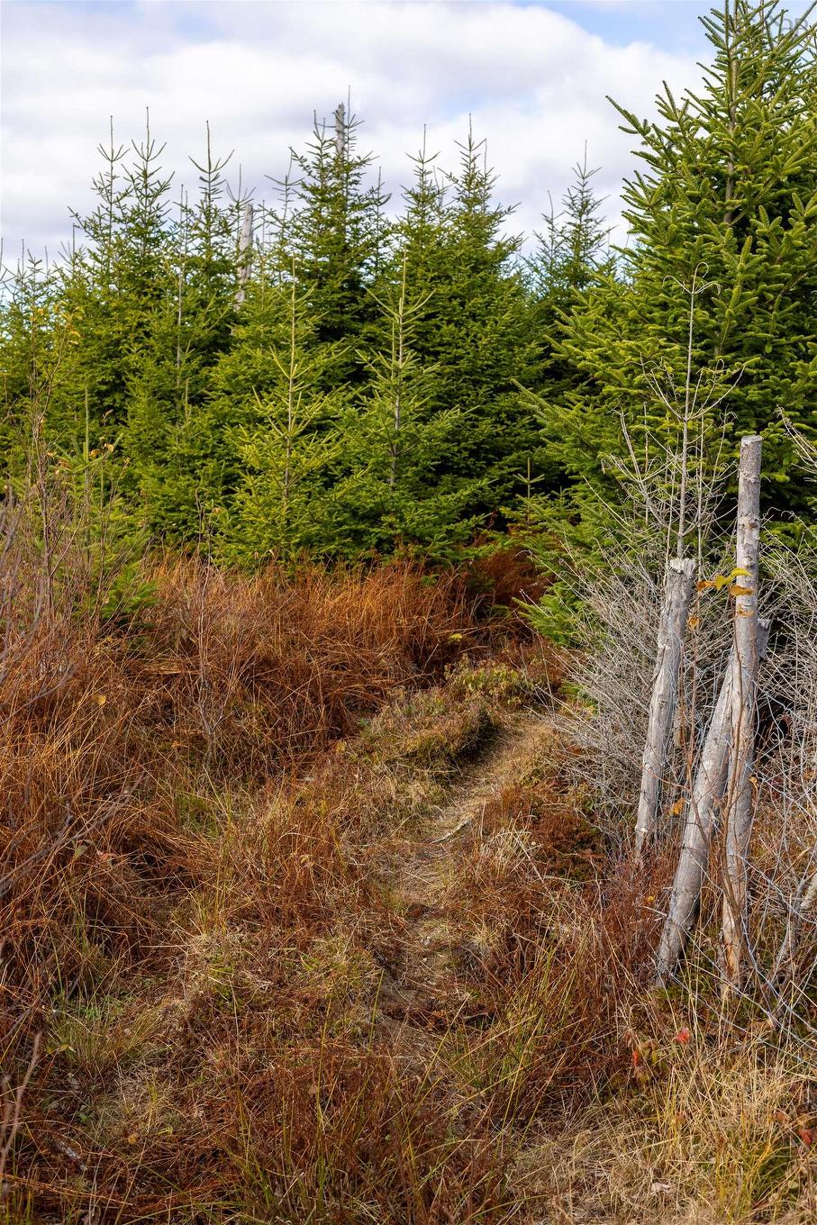 Acreage Sonora Road, Sherbrooke, NS