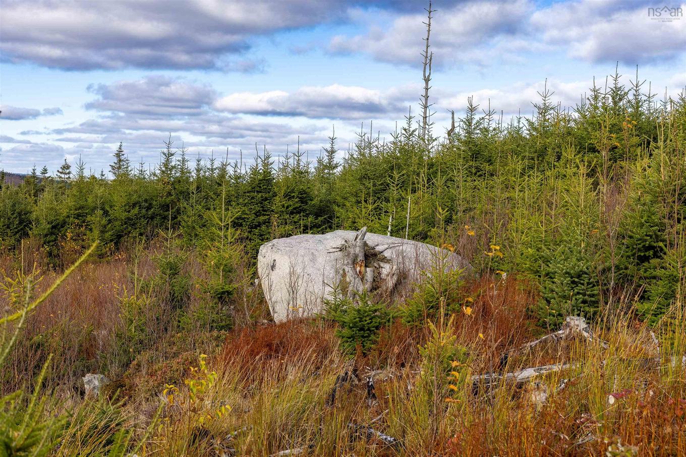 Acreage Sonora Road, Sherbrooke, NS