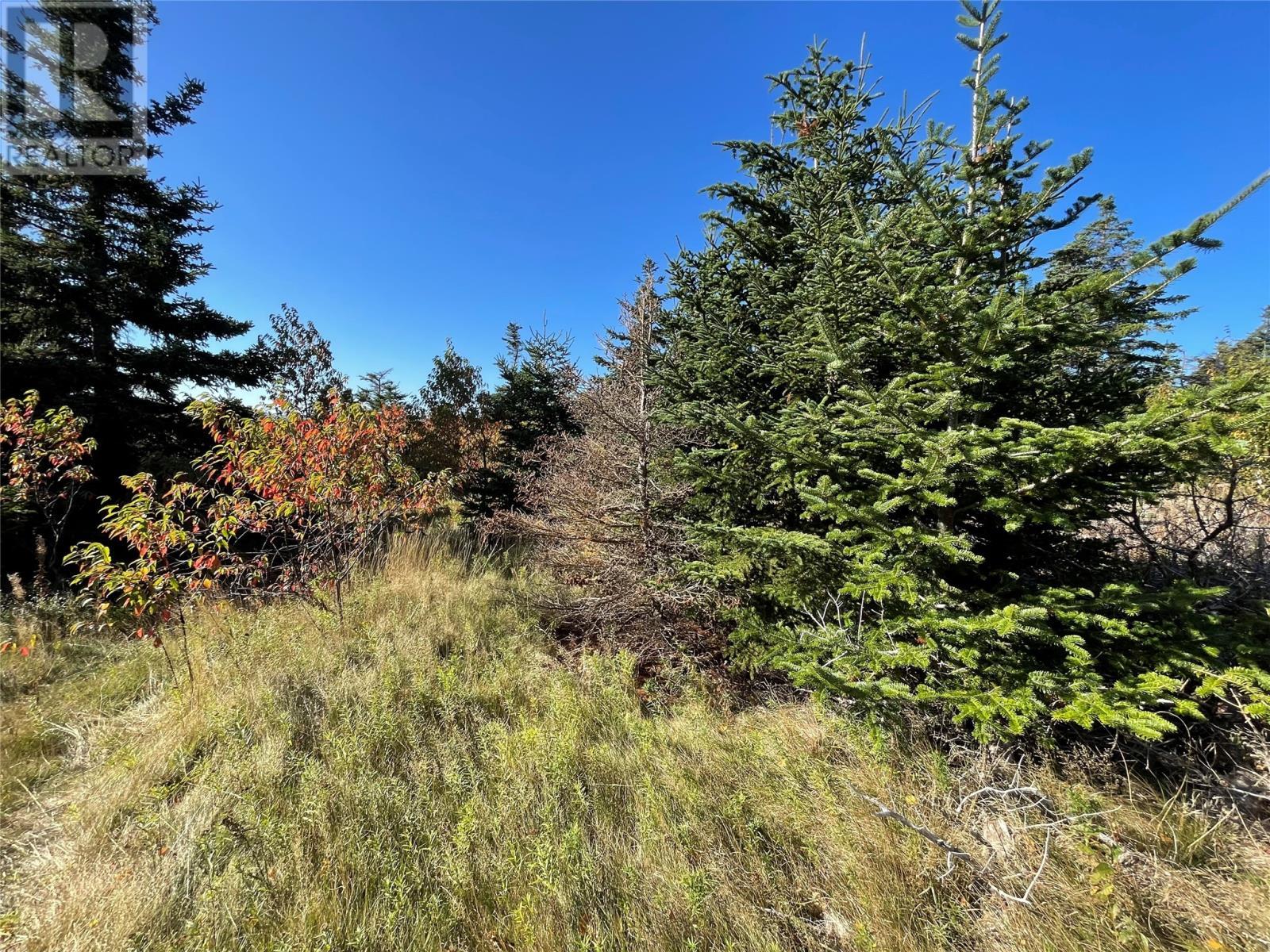 0 Wades Farm Road, Flatrock, NL