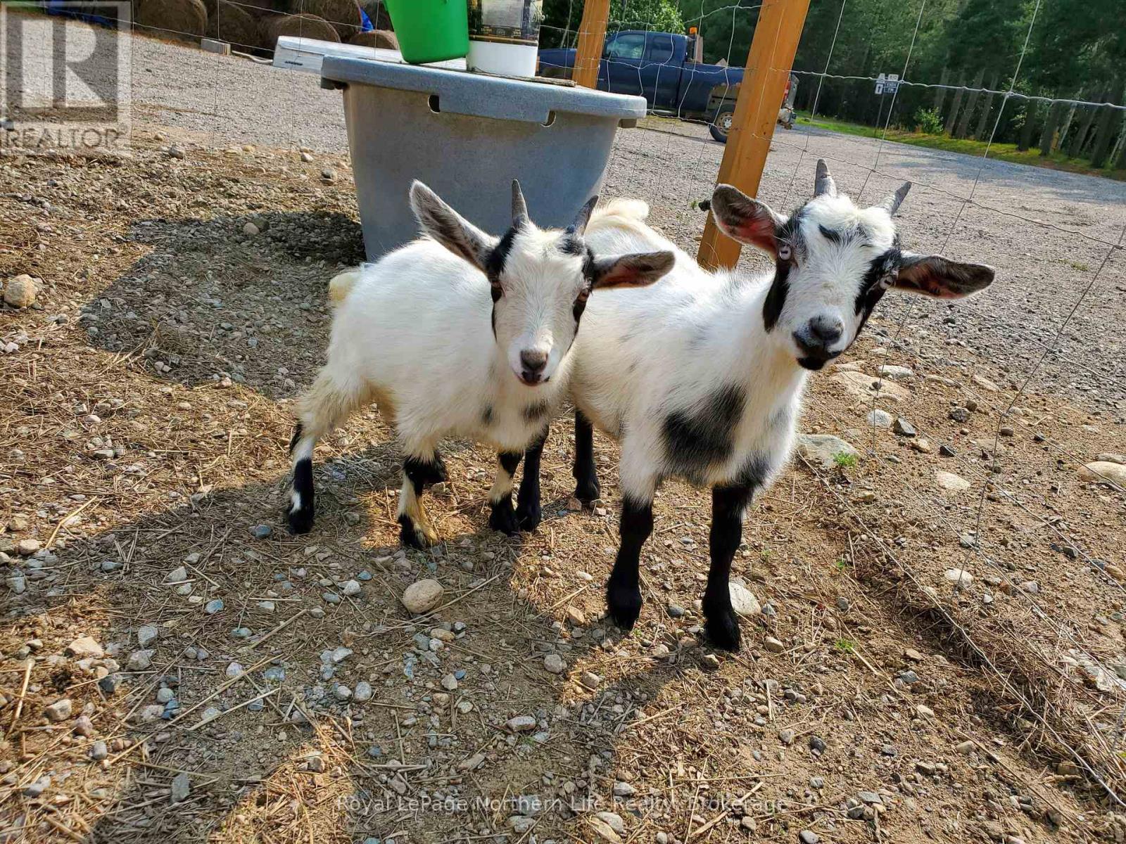 Crh9+Q8 Sables-Spanish River, Algoma Remote Area, ON - Outdoor