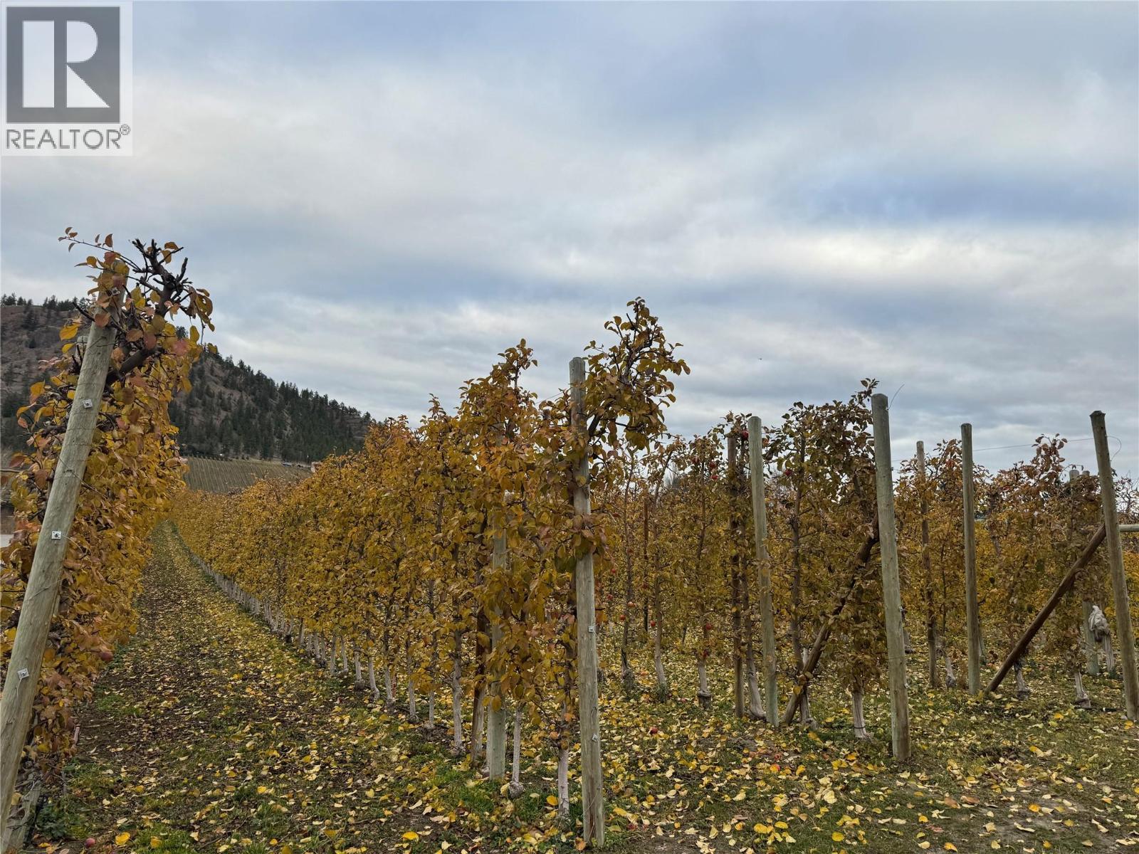 5803 Lewes Avenue, Summerland, BC