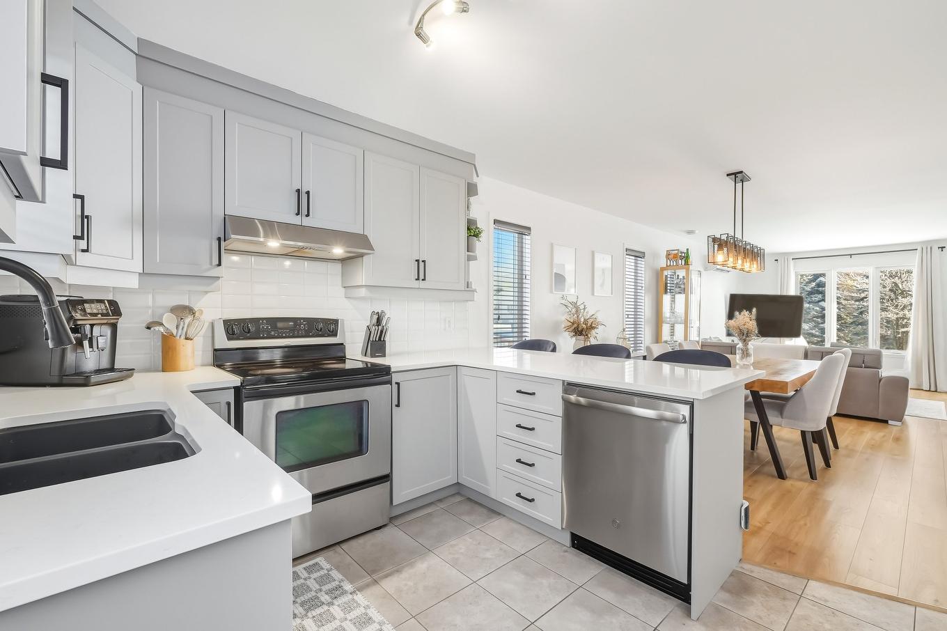 Cuisine - 513 Rue Des Érables, Waterloo, QC - Indoor Photo Showing Kitchen With Double Sink