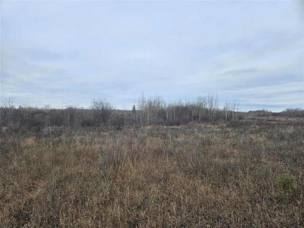 0 15E Road, Armstrong, MB