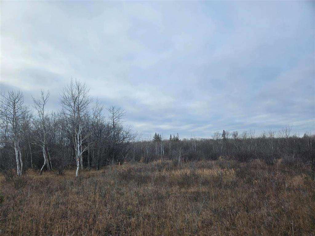 0 15E Road, Armstrong, MB