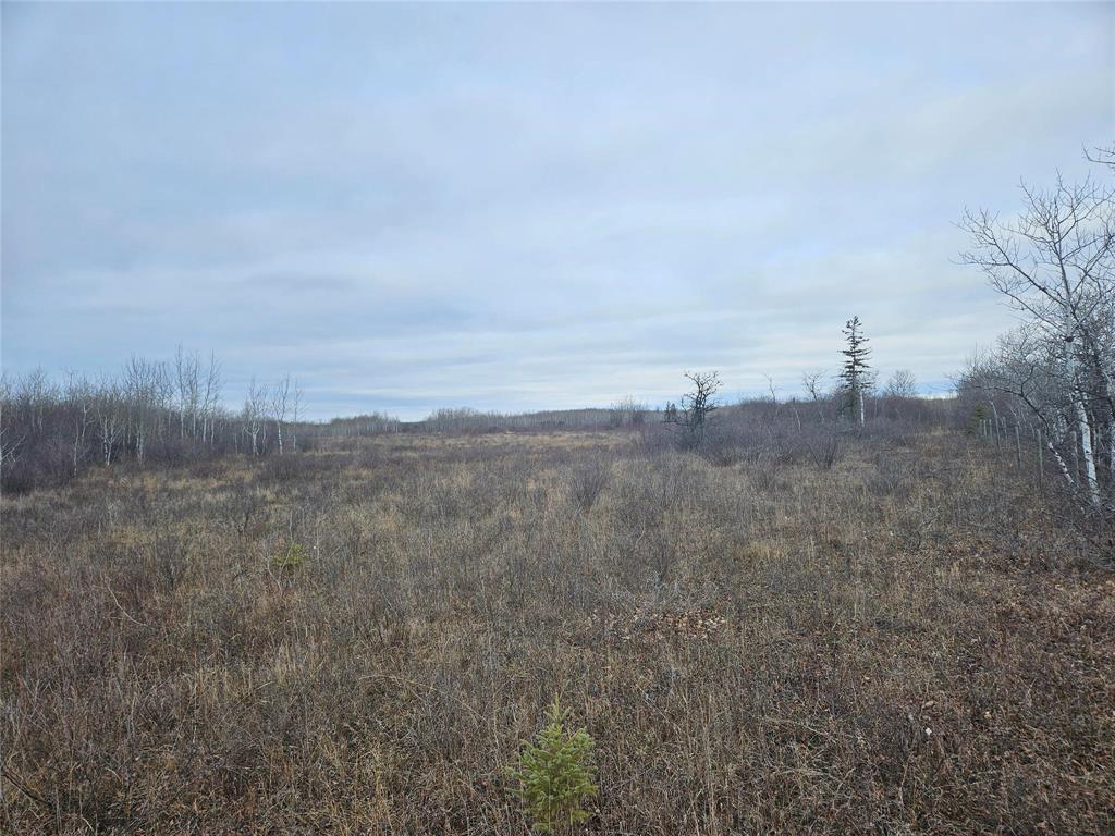 0 15E Road, Armstrong, MB