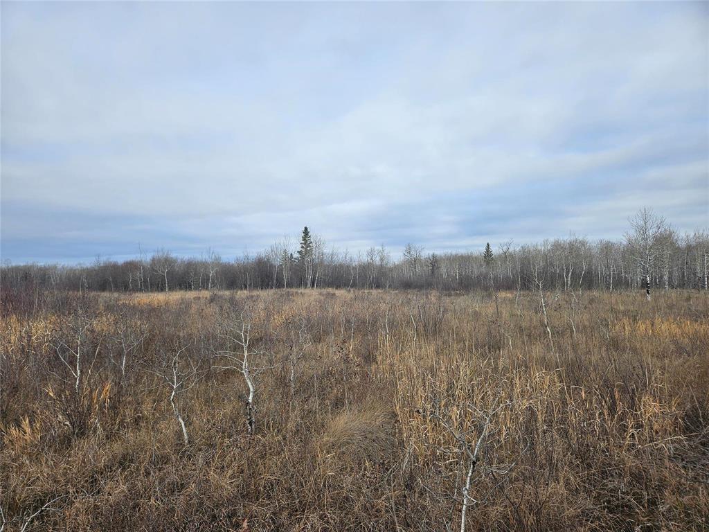 0 15E Road, Armstrong, MB