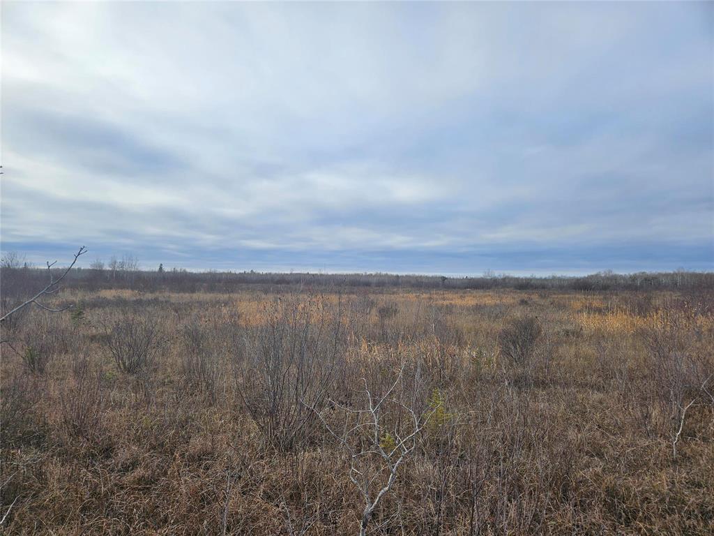 0 15E Road, Armstrong, MB