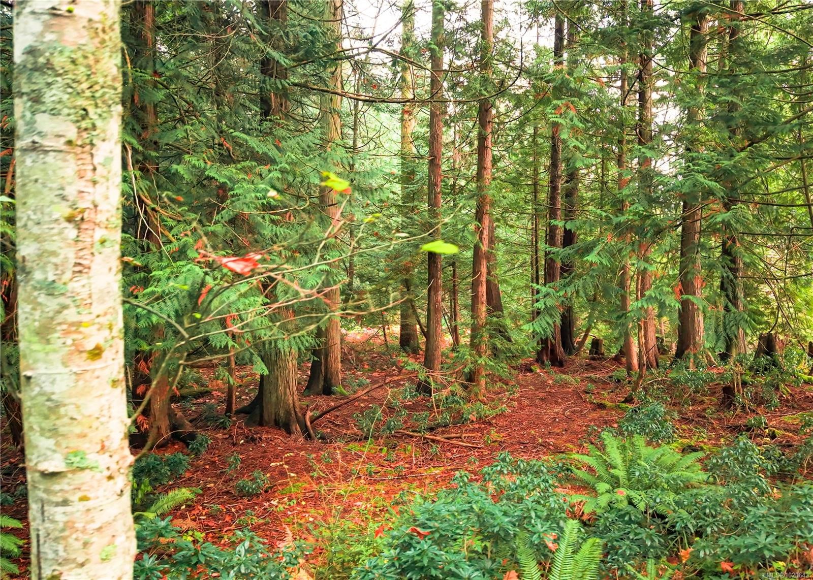 510 Voutrait Rd, Mill Bay, BC