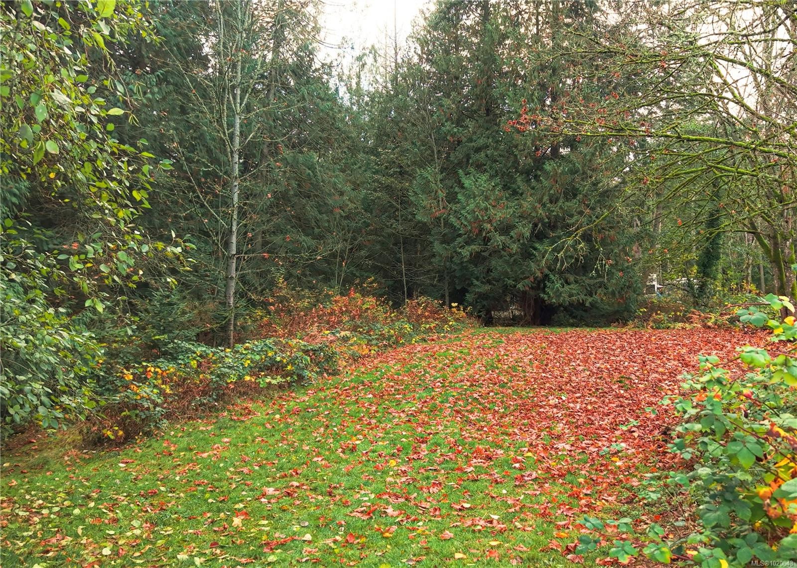 510 Voutrait Rd, Mill Bay, BC