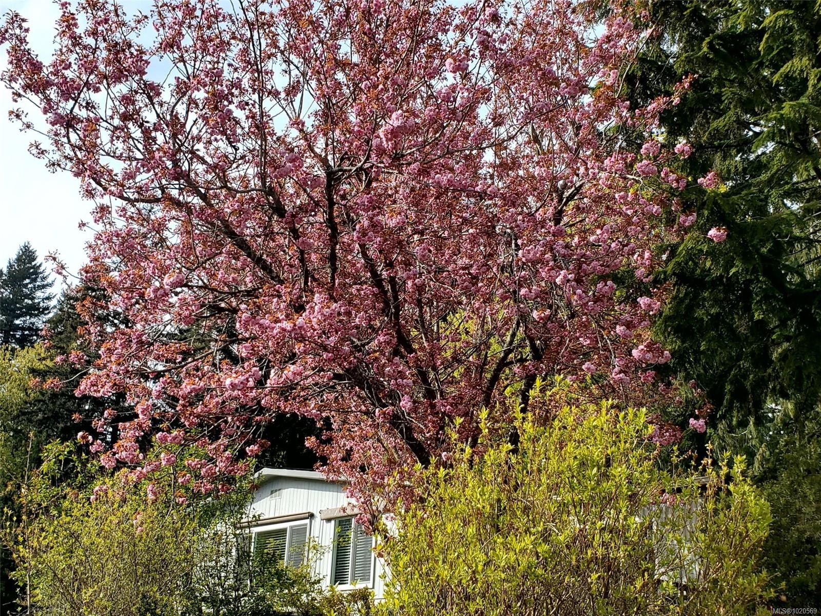 4-5838 Blythwood Rd, Sooke, BC