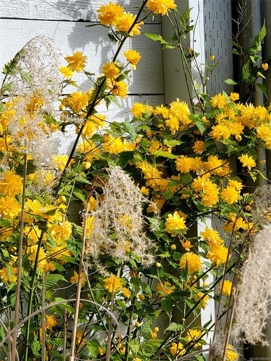 4-5838 Blythwood Rd, Sooke, BC