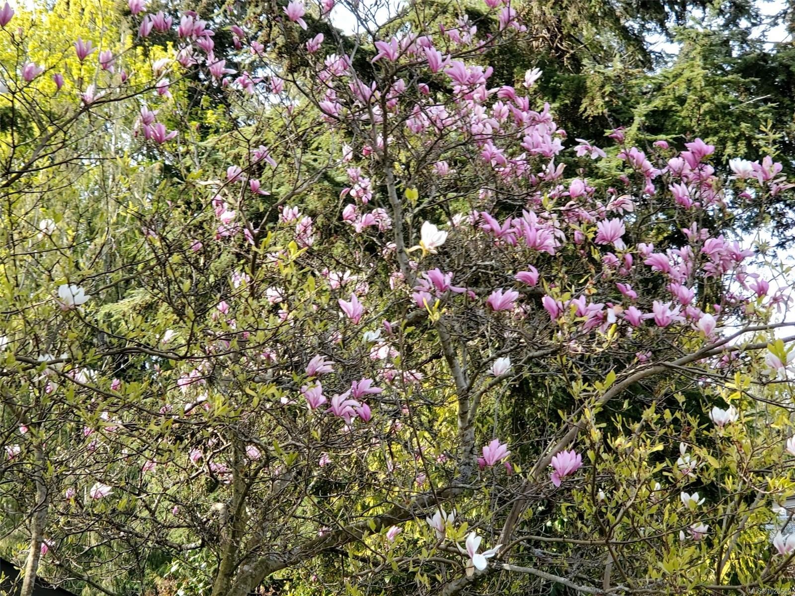 4-5838 Blythwood Rd, Sooke, BC