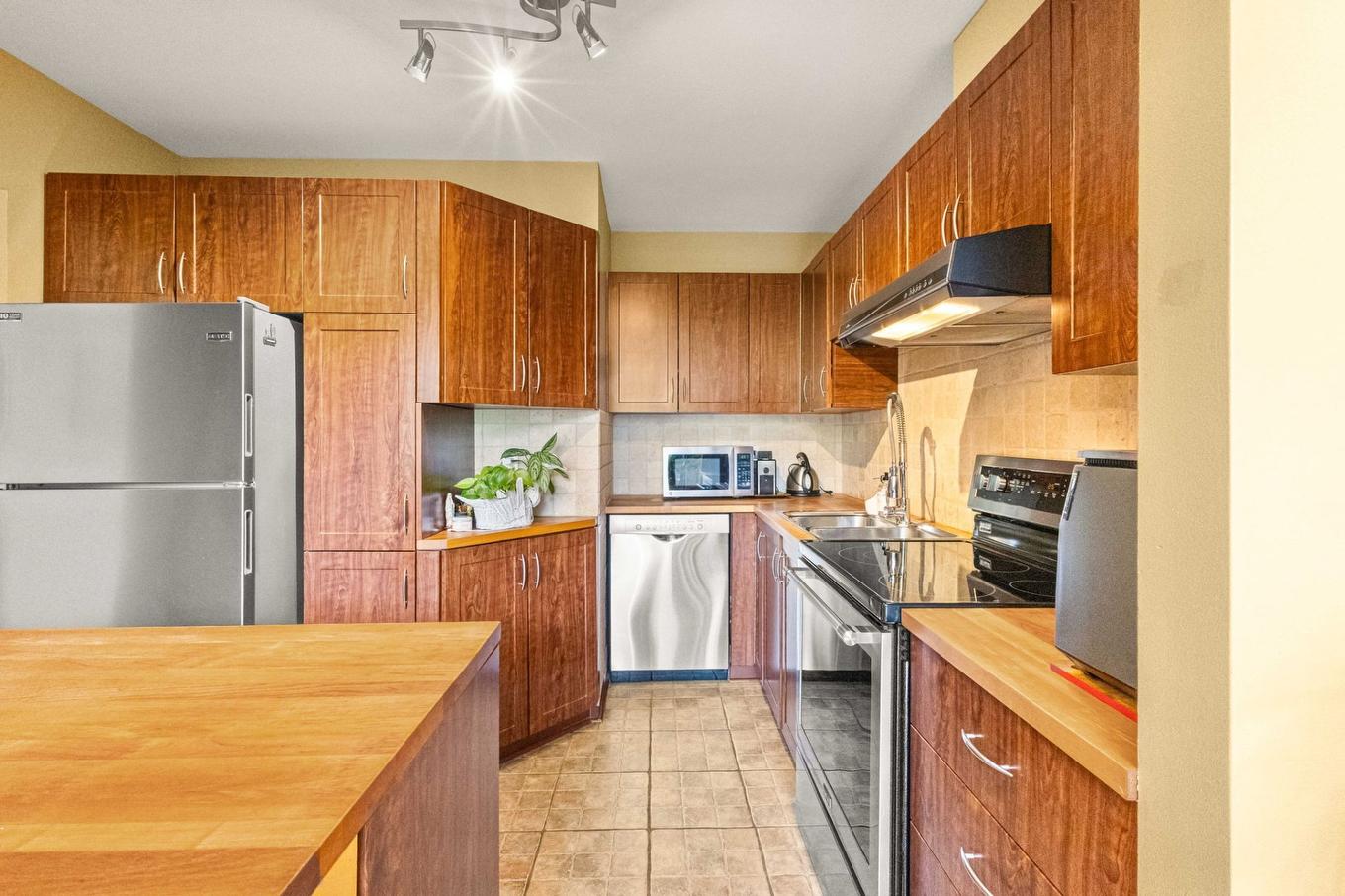 Kitchen - 123 Place Du Soleil, Montréal (Verdun/Île-Des-Soeurs), QC - Indoor Photo Showing Kitchen With Double Sink
