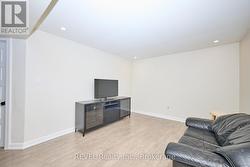 Basement Living room -