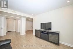 Basement living room -