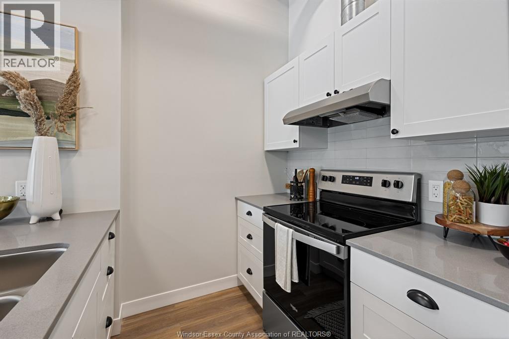 3180 Meadowbrook Lane Unit# 102, Windsor, ON - Indoor Photo Showing Kitchen