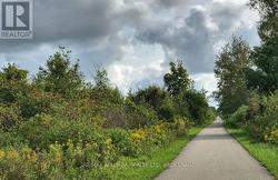 Biking and walking trail -