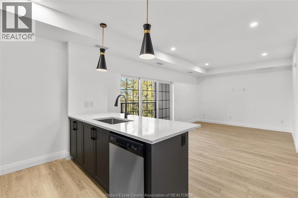 3817 Howard Avenue Unit# 313, Windsor, ON - Indoor Photo Showing Kitchen