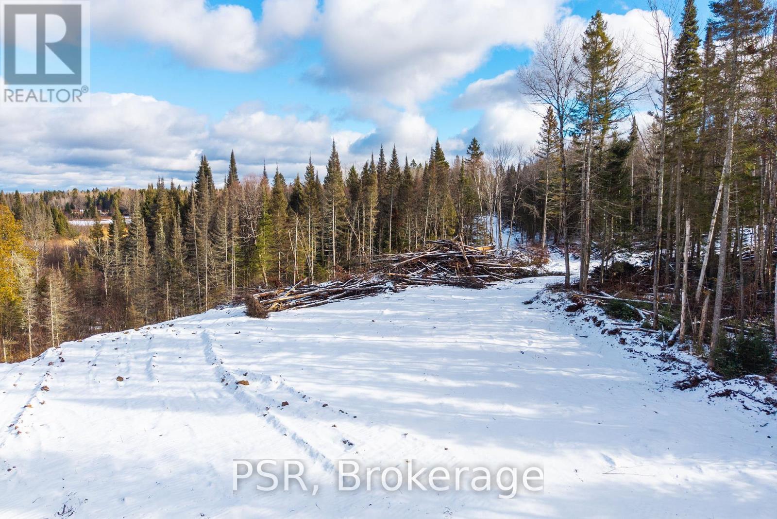 133 Berriedale Road, Armour, ON