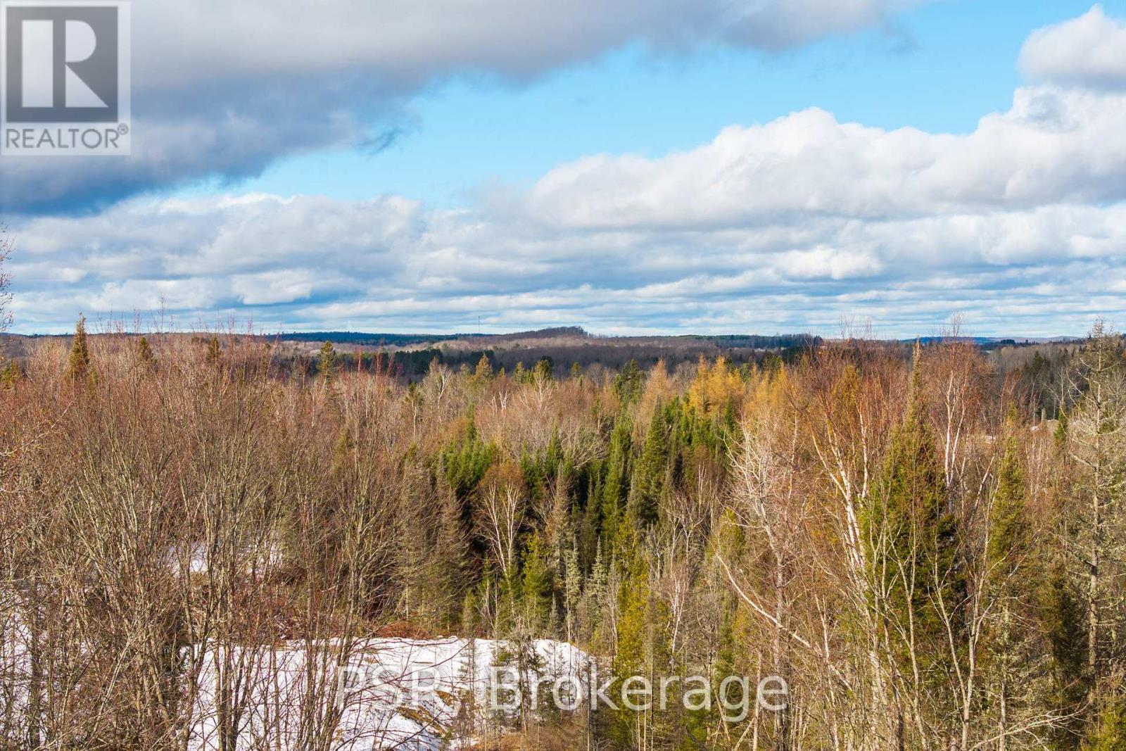 133 Berriedale Road, Armour, ON