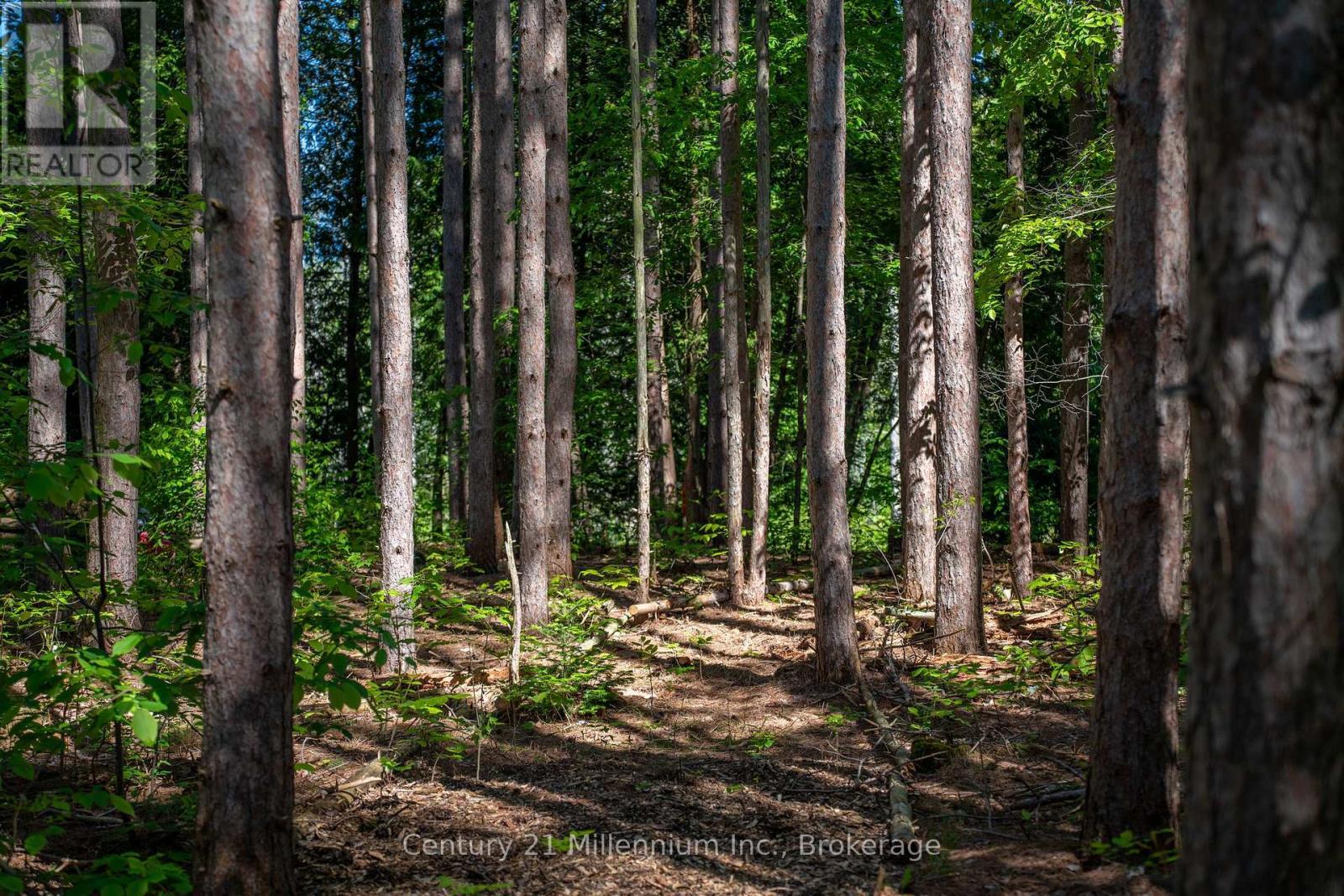 46 Riverside Place, South Bruce Peninsula, ON