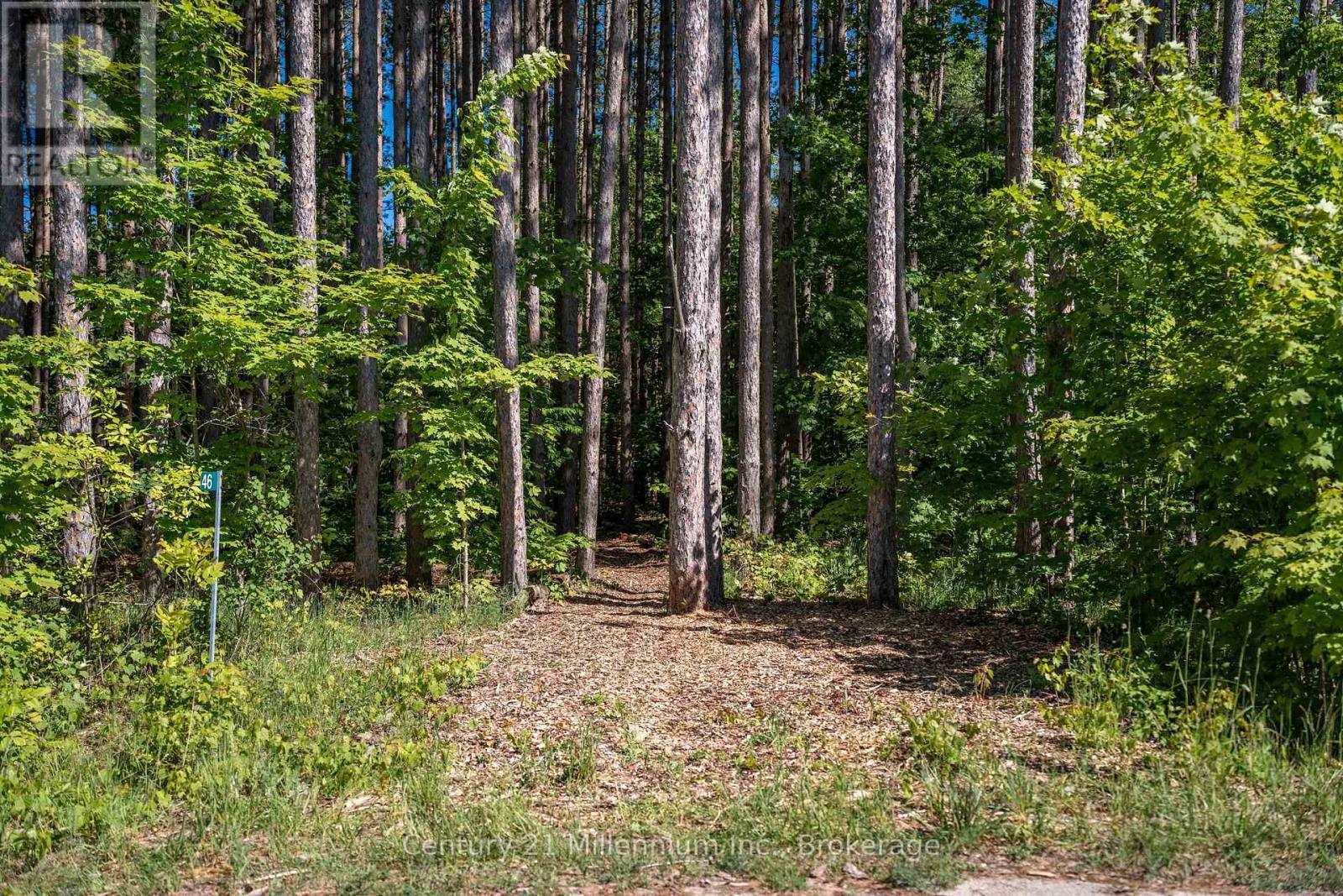 46 Riverside Place, South Bruce Peninsula, ON