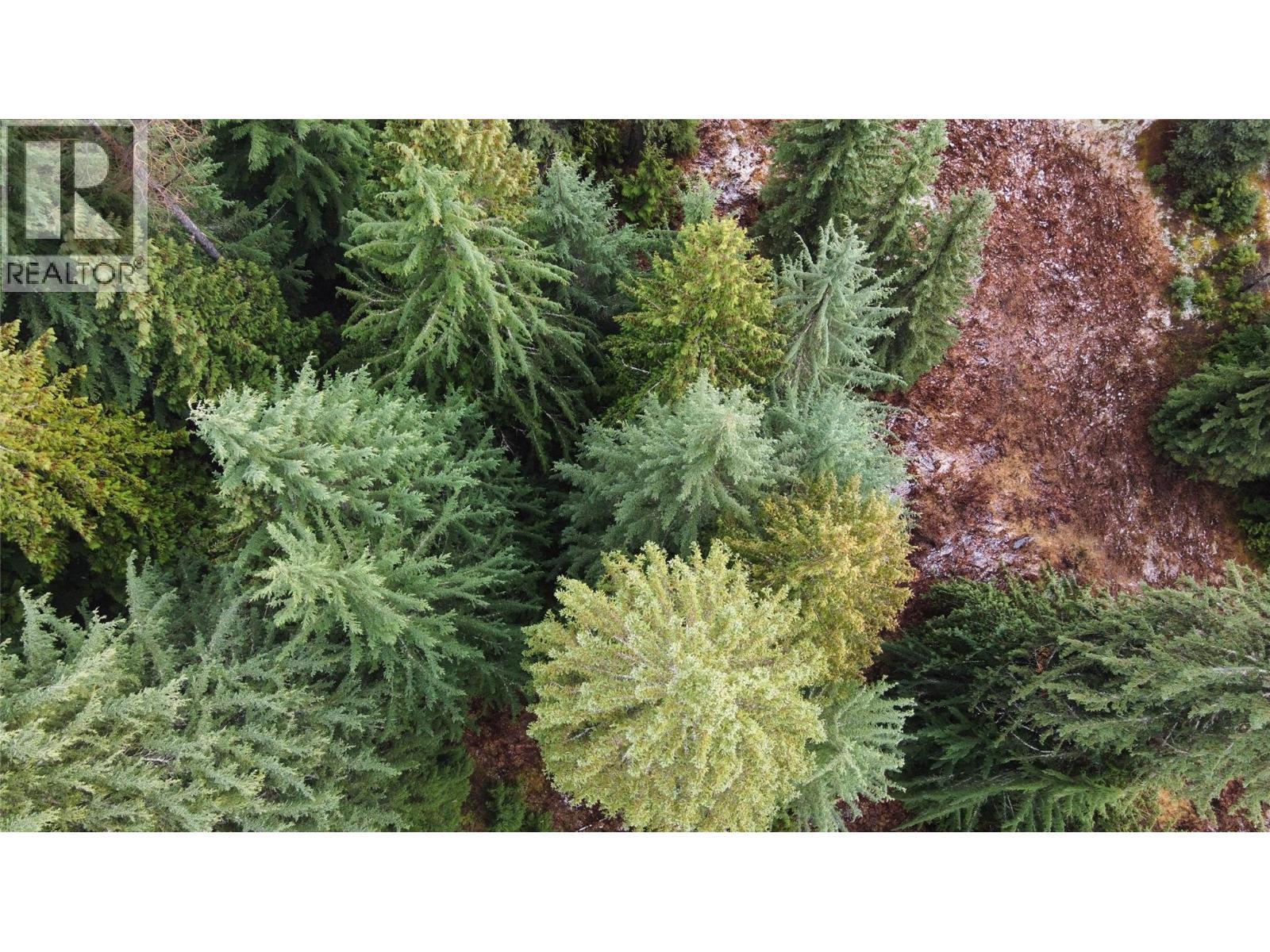 Ferguson Road, Ferguson, BC