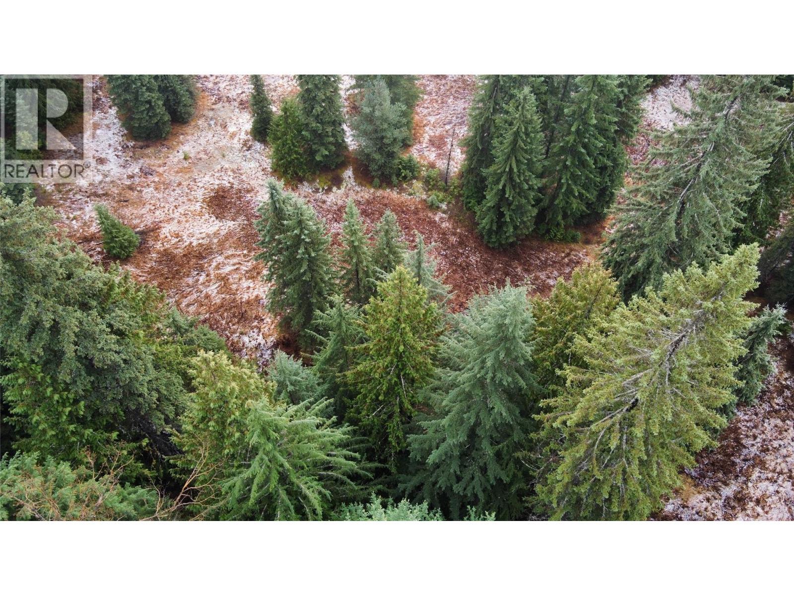 Ferguson Road, Ferguson, BC