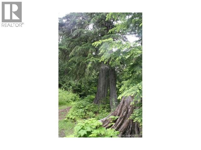 Ferguson Road, Ferguson, BC