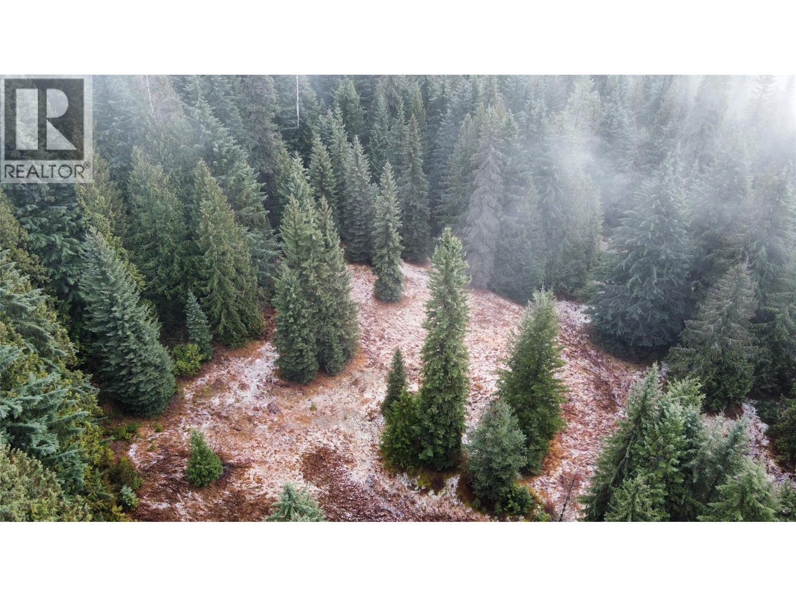 Ferguson Road, Ferguson, BC