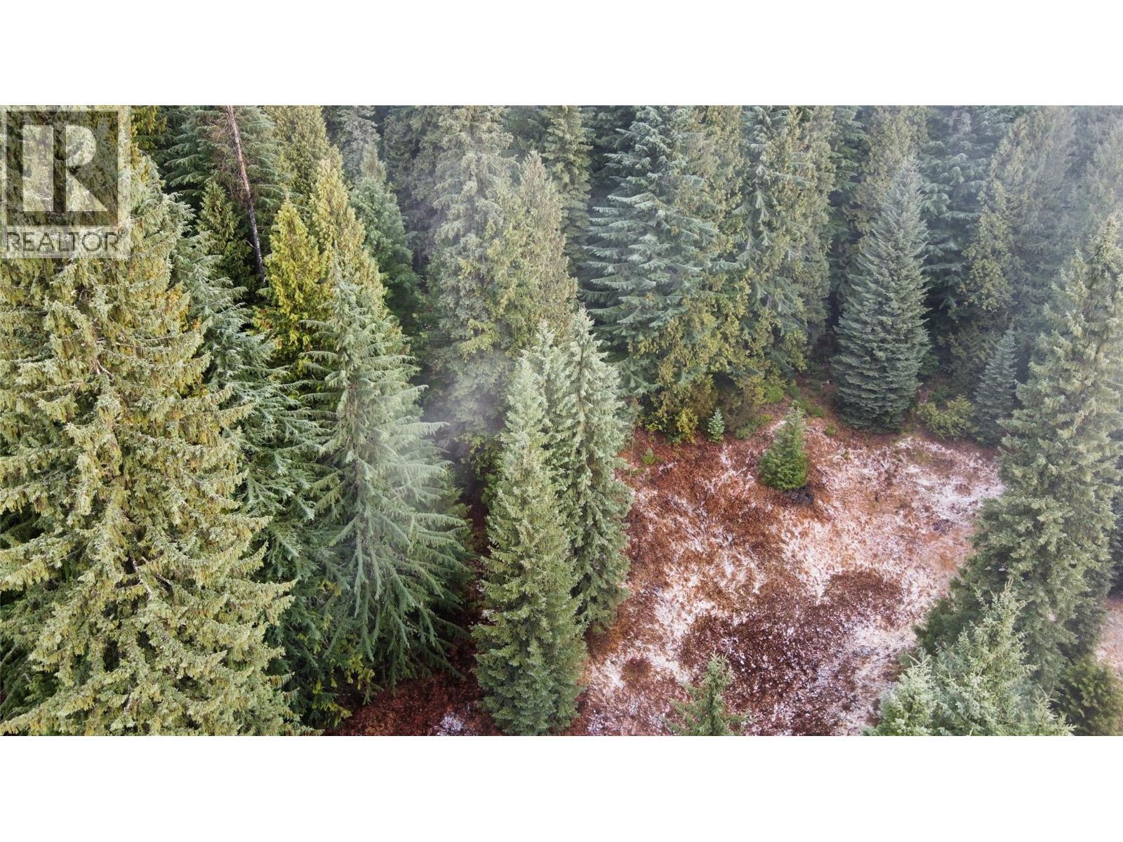 Ferguson Road, Ferguson, BC