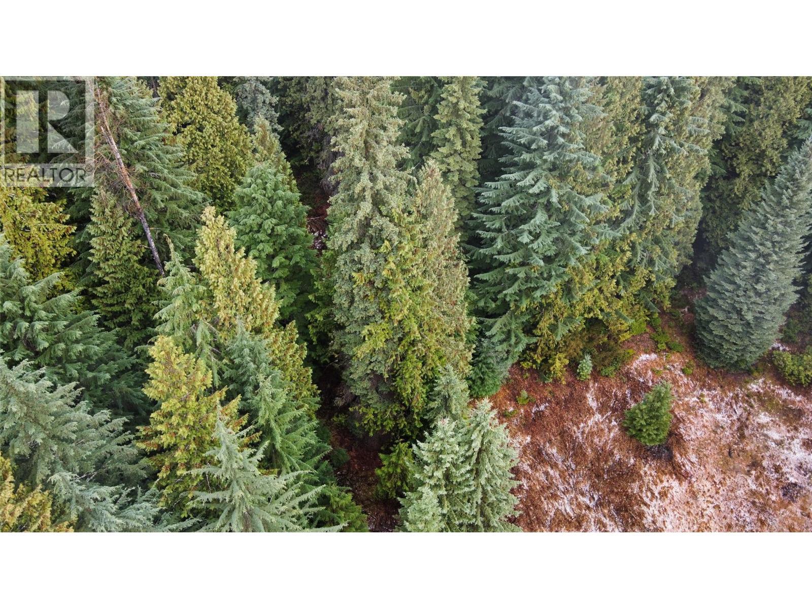 Ferguson Road, Ferguson, BC