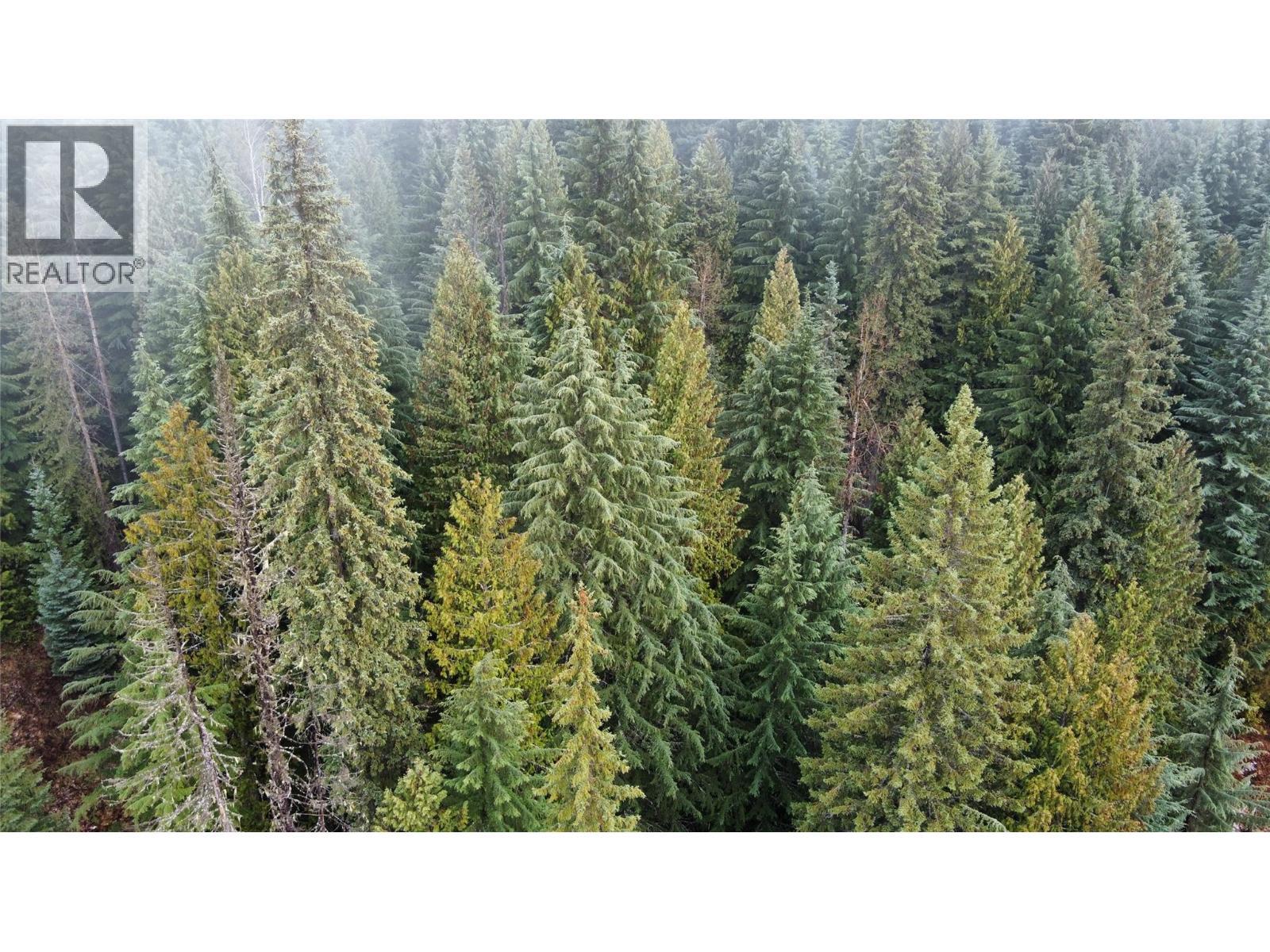 Ferguson Road, Ferguson, BC