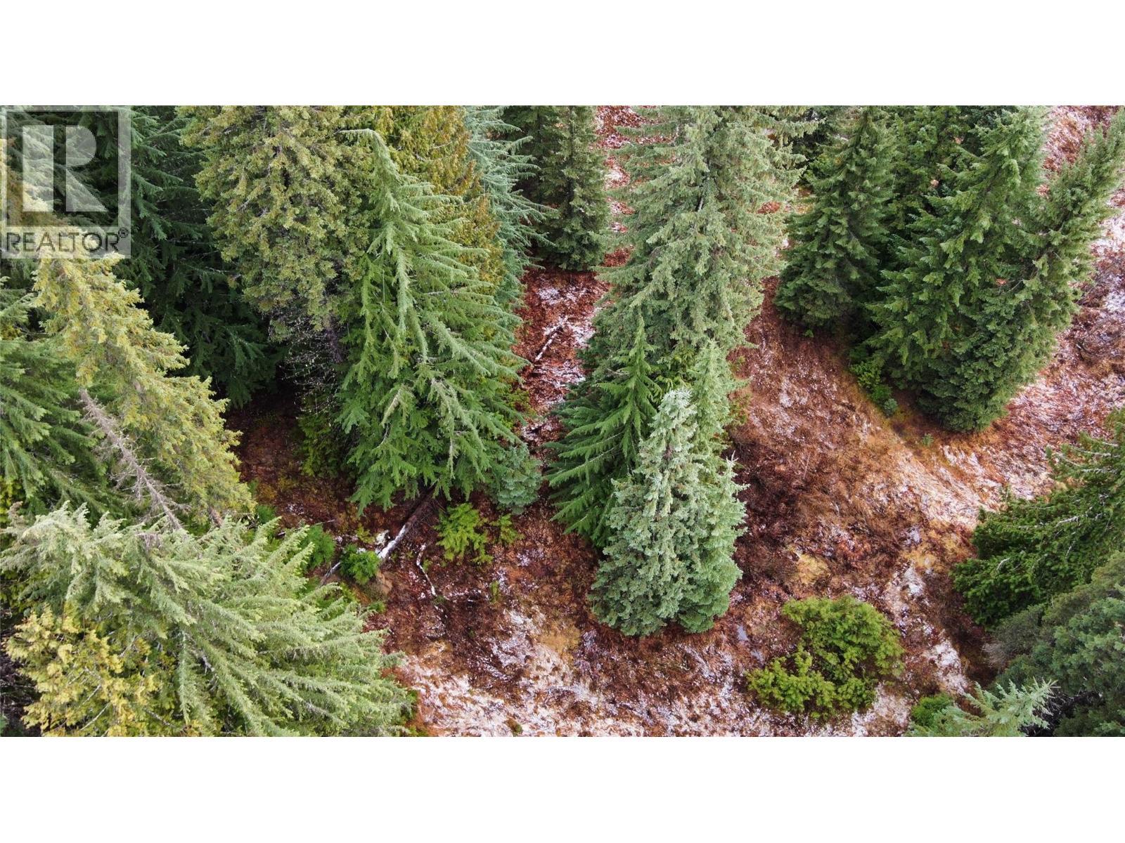 Ferguson Road, Ferguson, BC