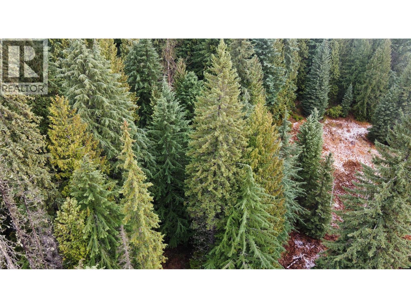 Ferguson Road, Ferguson, BC