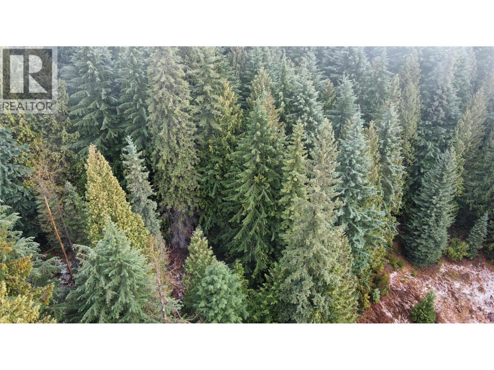 Ferguson Road, Ferguson, BC