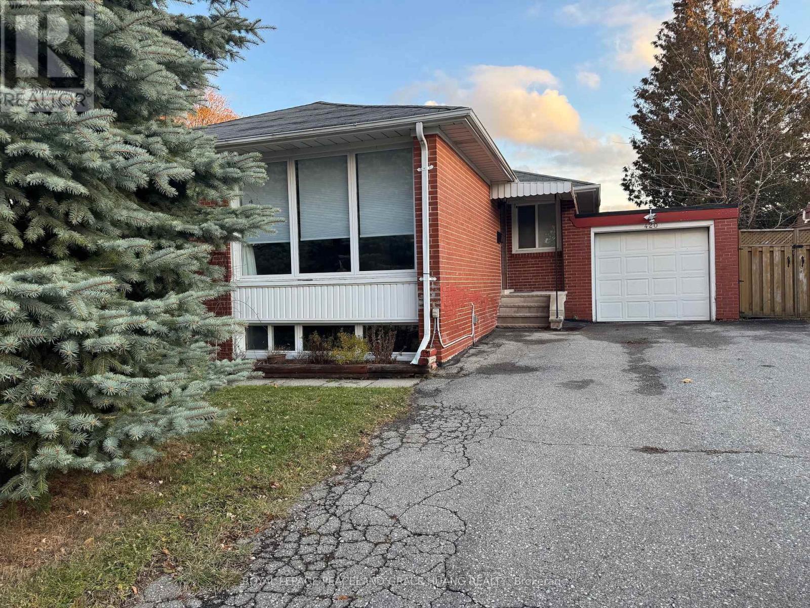 420 Paliser Crescent S, Richmond Hill, ON - Outdoor