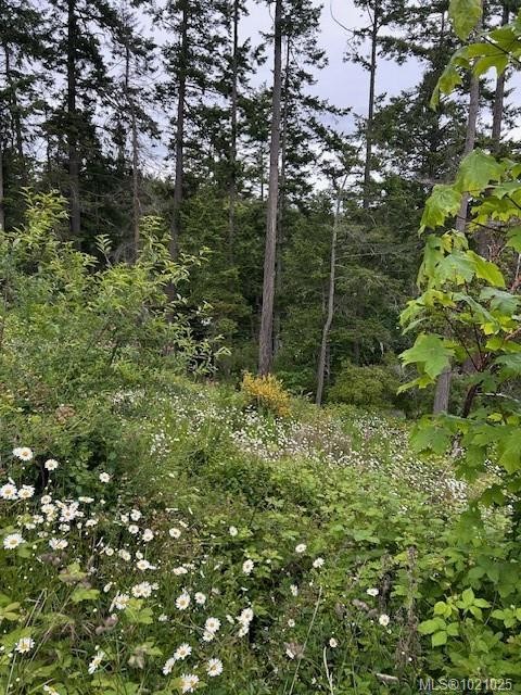 3857 Duke Rd, Metchosin, BC